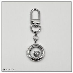 Stainless Steel Glass Floating Locket, Sterling Silver Lady Bug Charm, Bag Charm